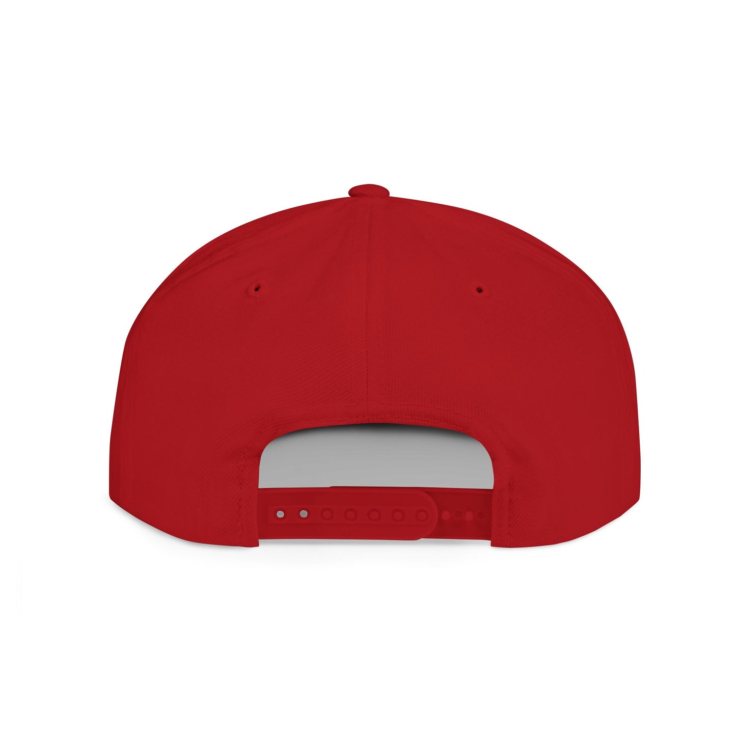 Snapback Hat — Believer Cryptid, Alien, Bigfoot, Epstein Cap