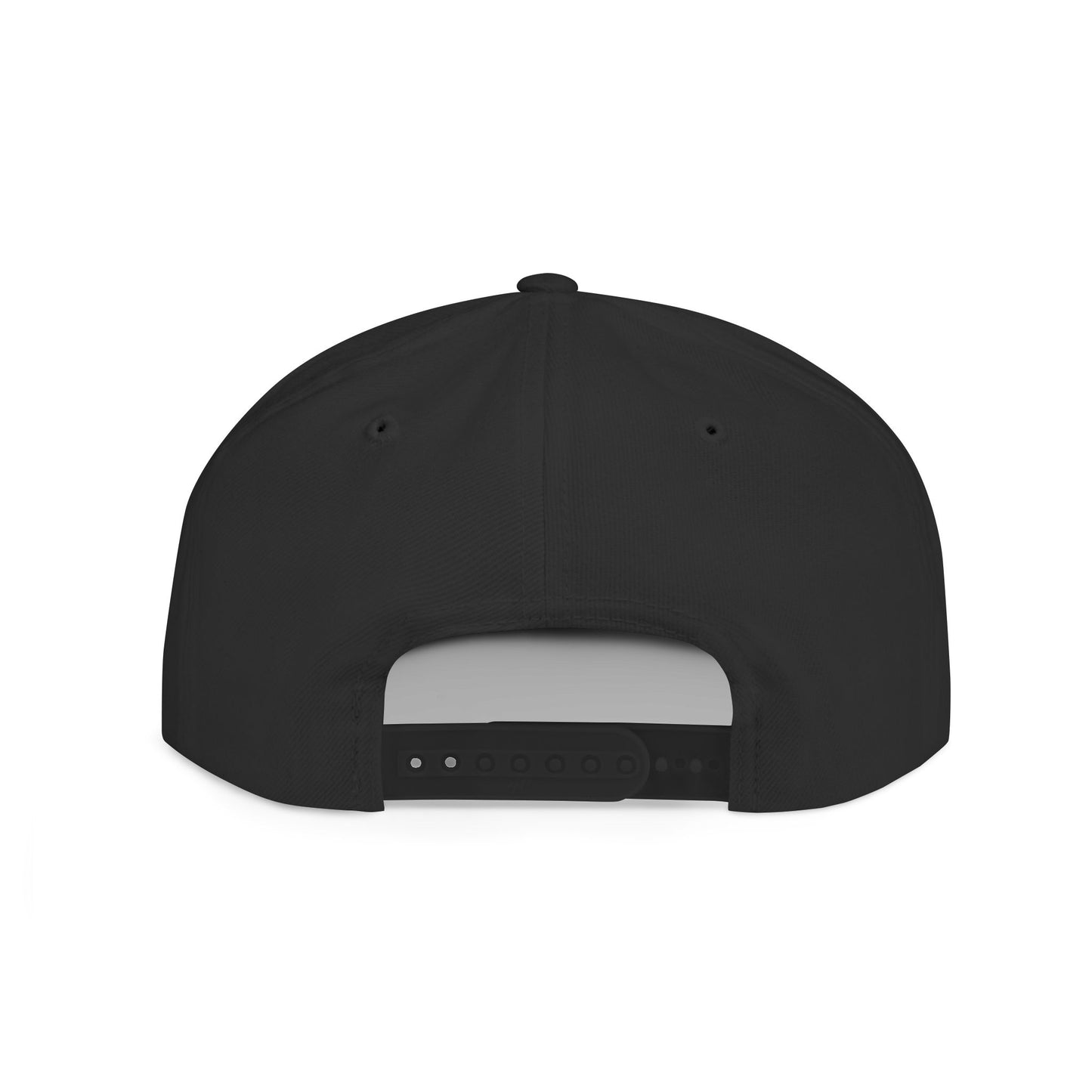 Snapback Hat — Believer Cryptid, Alien, Bigfoot, Epstein Cap