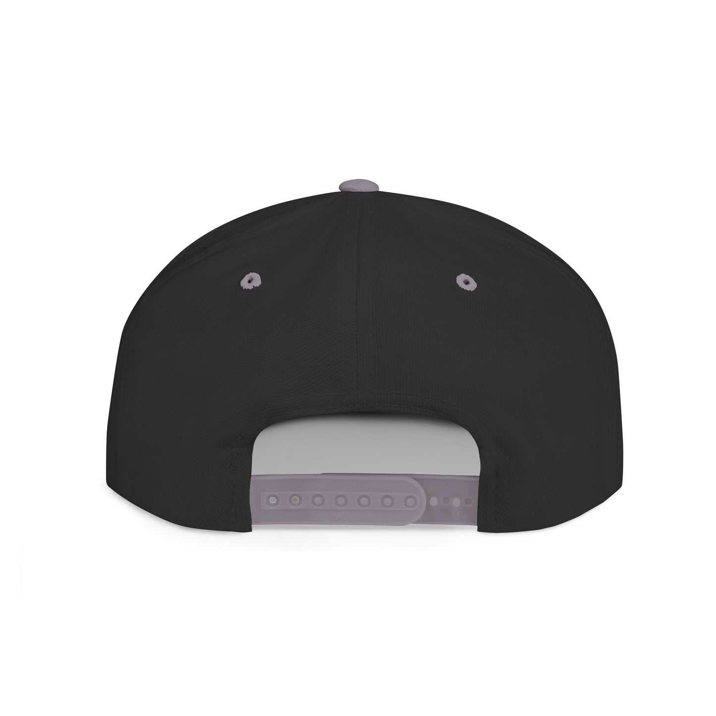 Snapback Hat — Believer Cryptid, Alien, Bigfoot, Epstein Cap