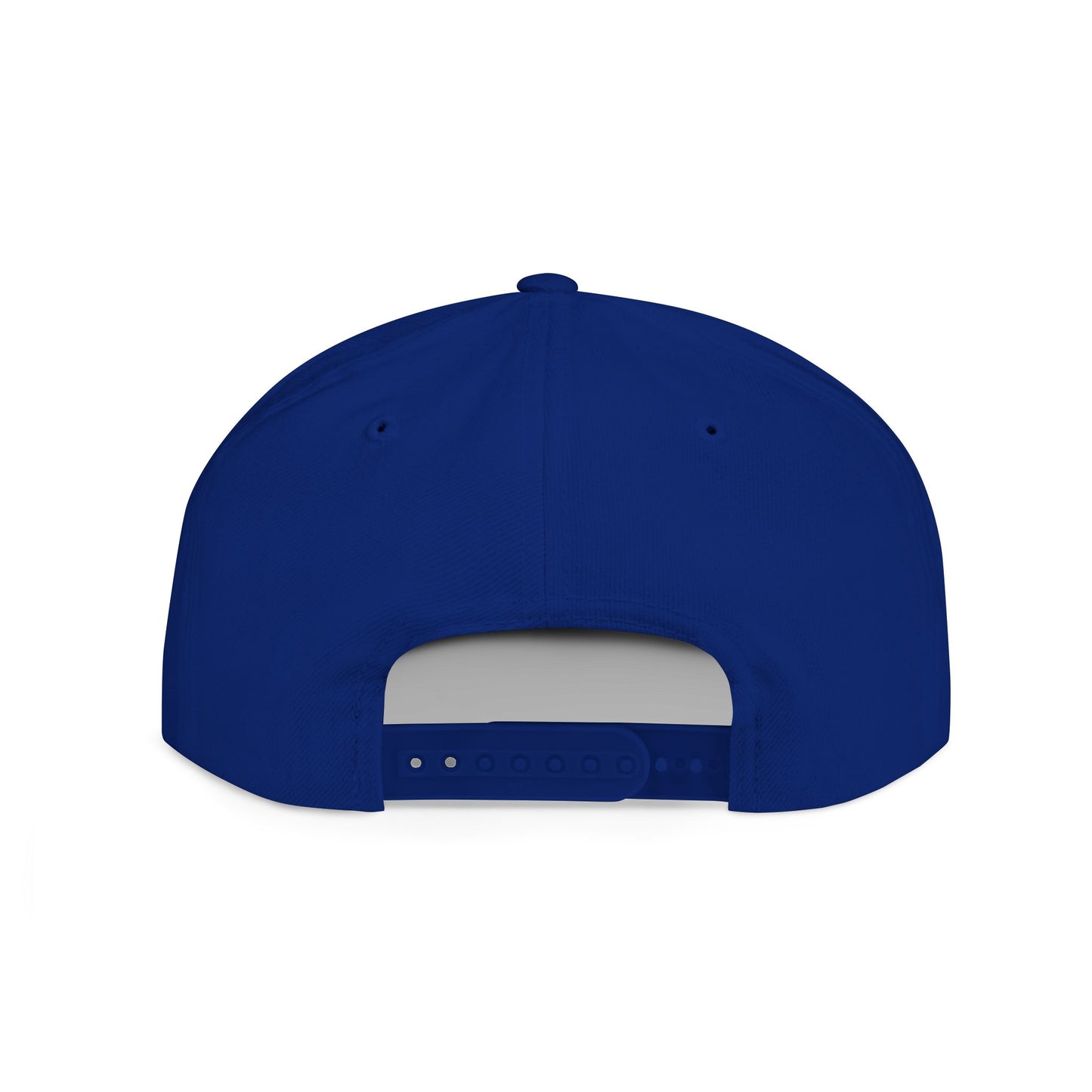 Snapback Hat — Believer Cryptid, Alien, Bigfoot, Epstein Cap